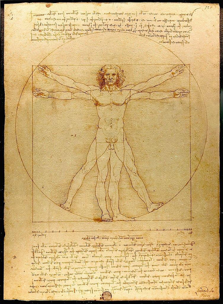 The Virtuvian Man by Leonardo Da Vinci