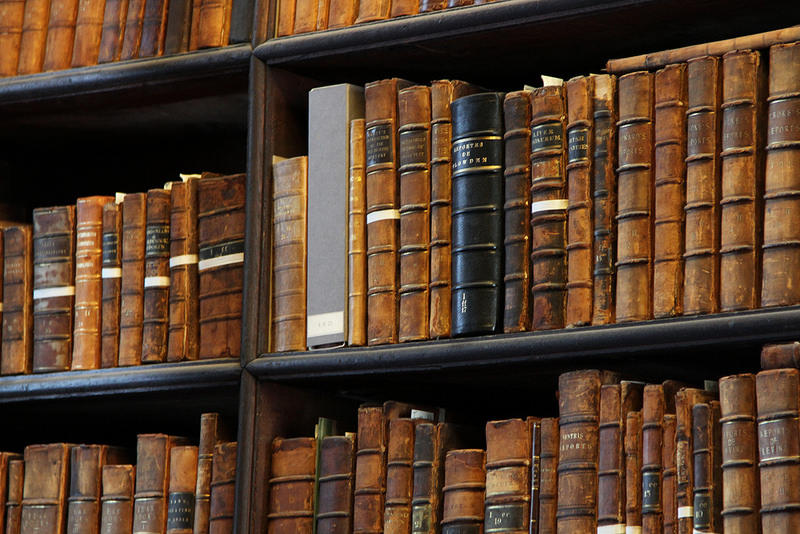 Canonical literature is works by writers that were particularly influential over their field or era.
