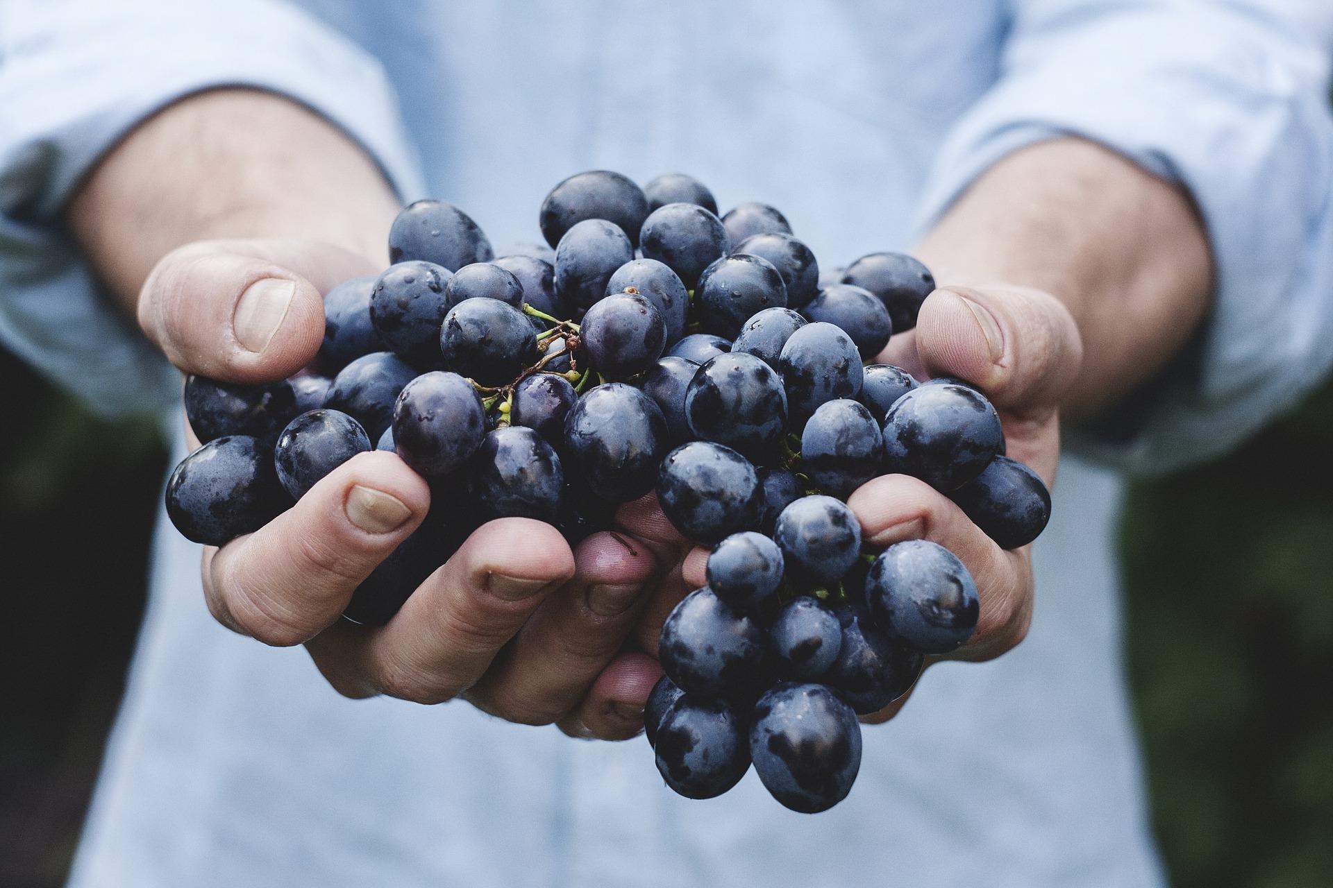 How do you make healthy meals?