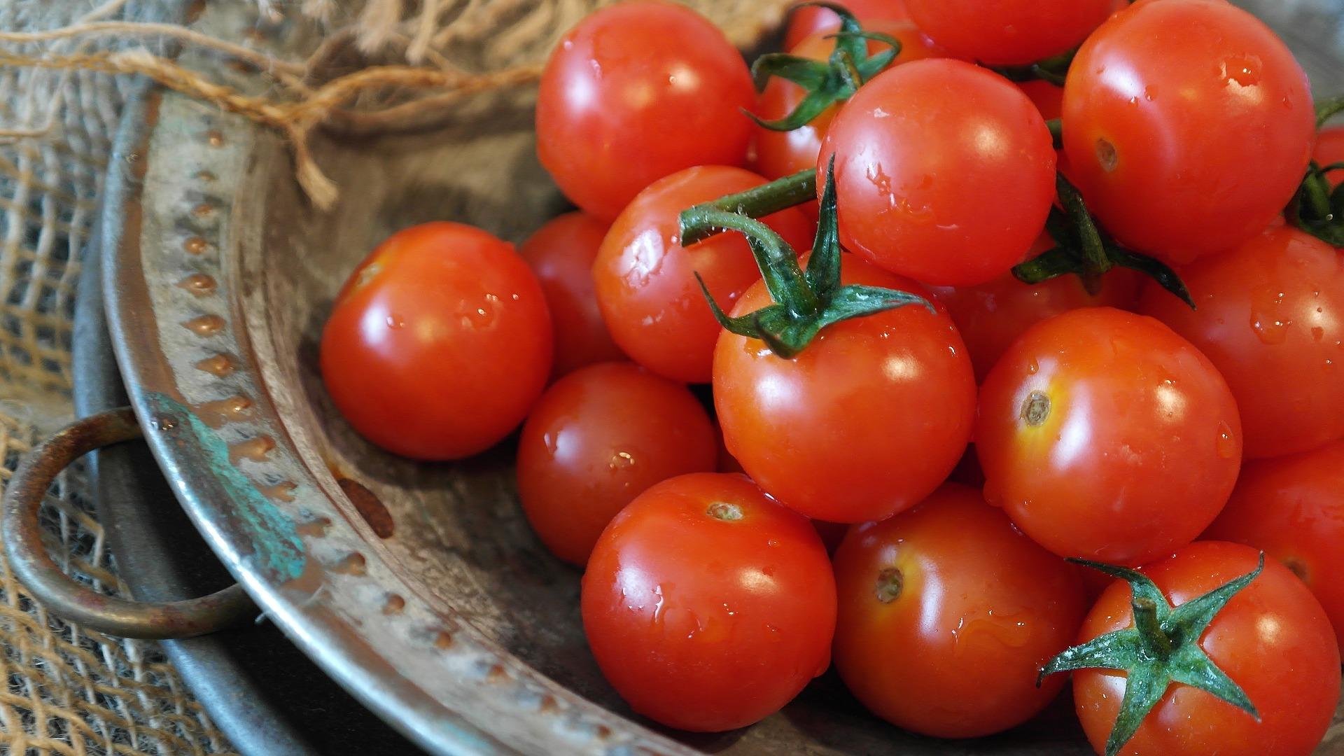How much does it cost to learn to cook?