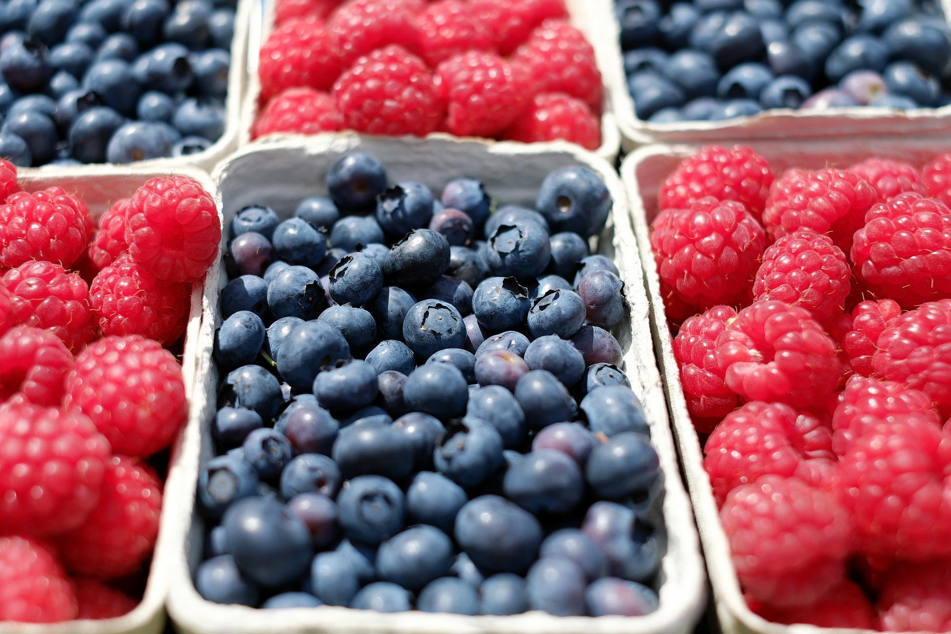 How can you create food cheaply?