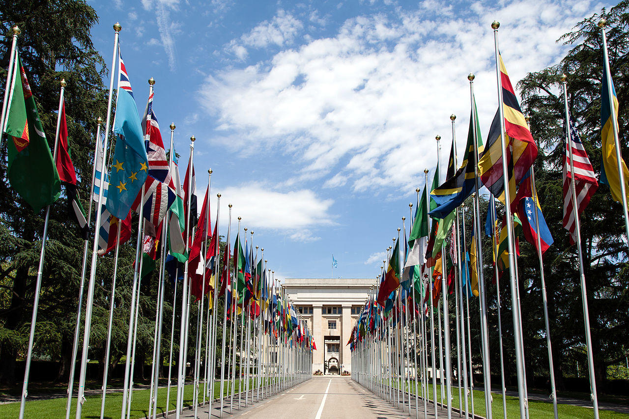 United Nations flags. International economics is closely linked to international relations.