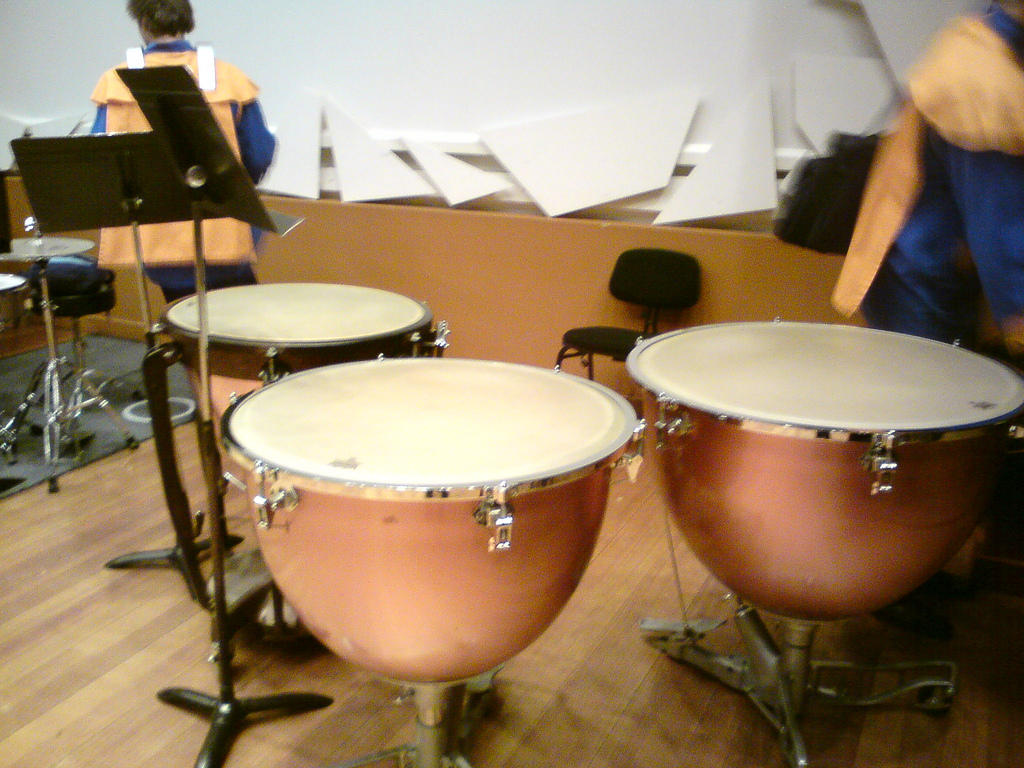Play timpani in an orchestra.
