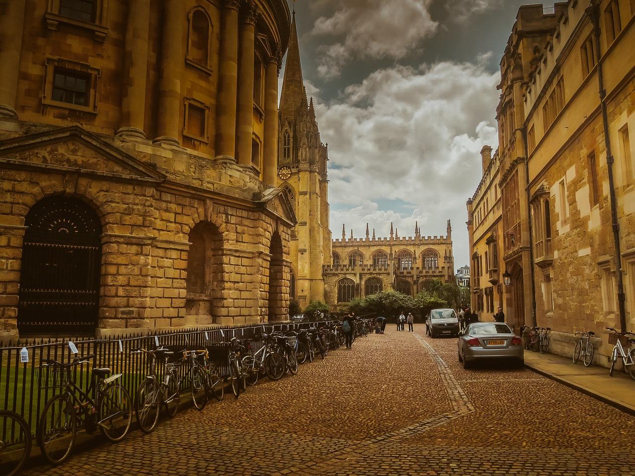 Studying economics at university can help you apply for jobs in economics.