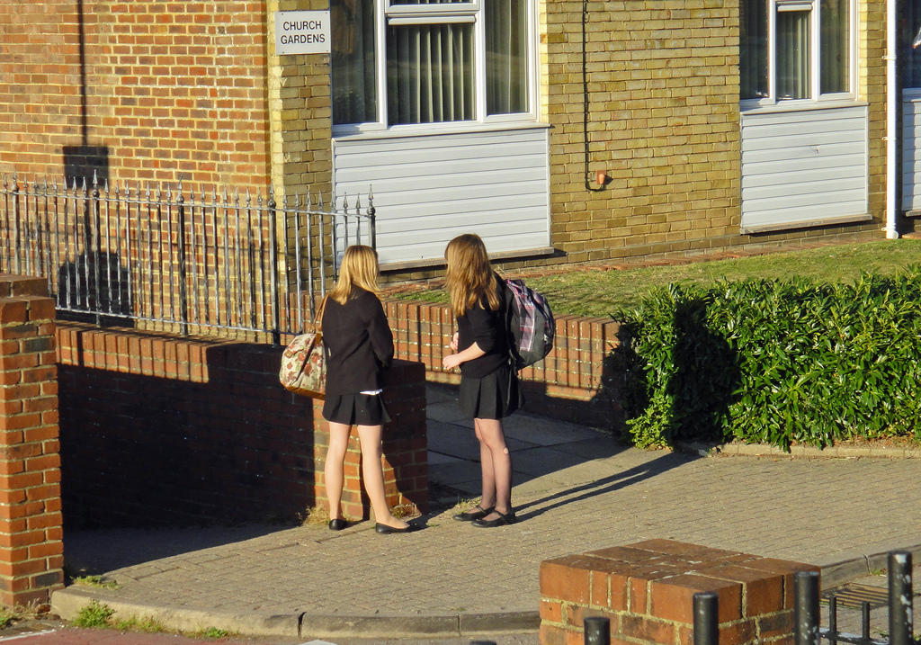 At the more advanced A Level, you will be expected to identify more intellectual techniques than in previous years.