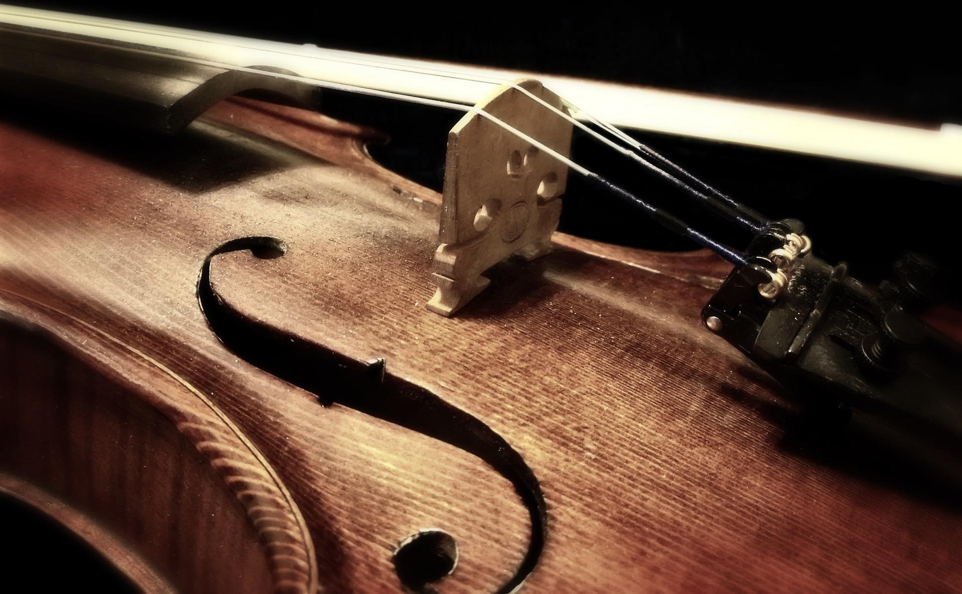 Violins are abundant in novels.