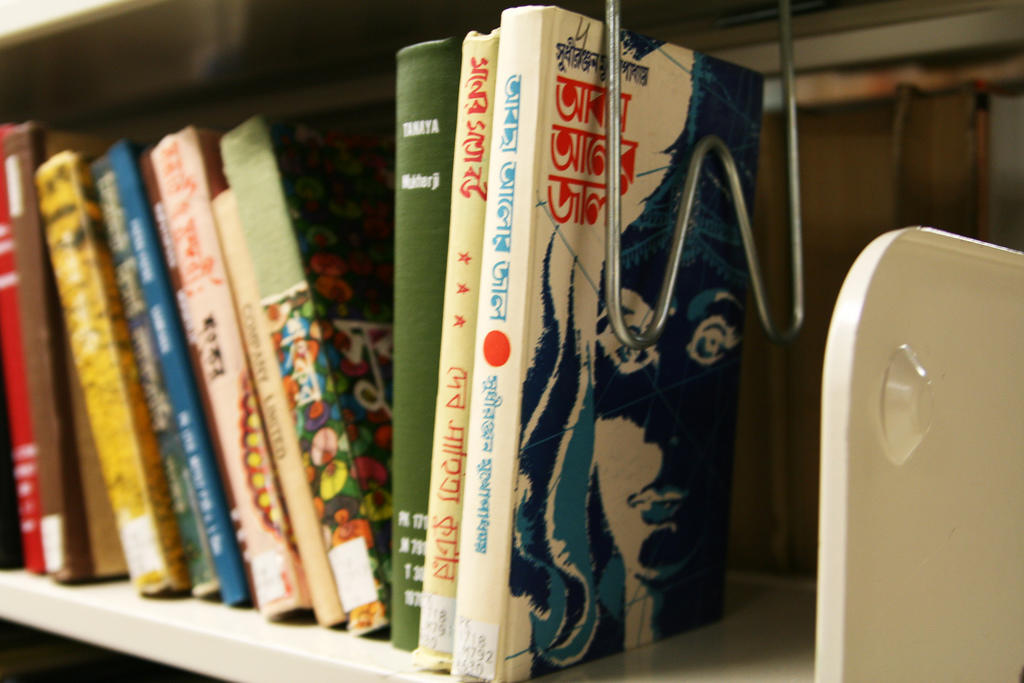 Reading HIndi books can help you learn faster