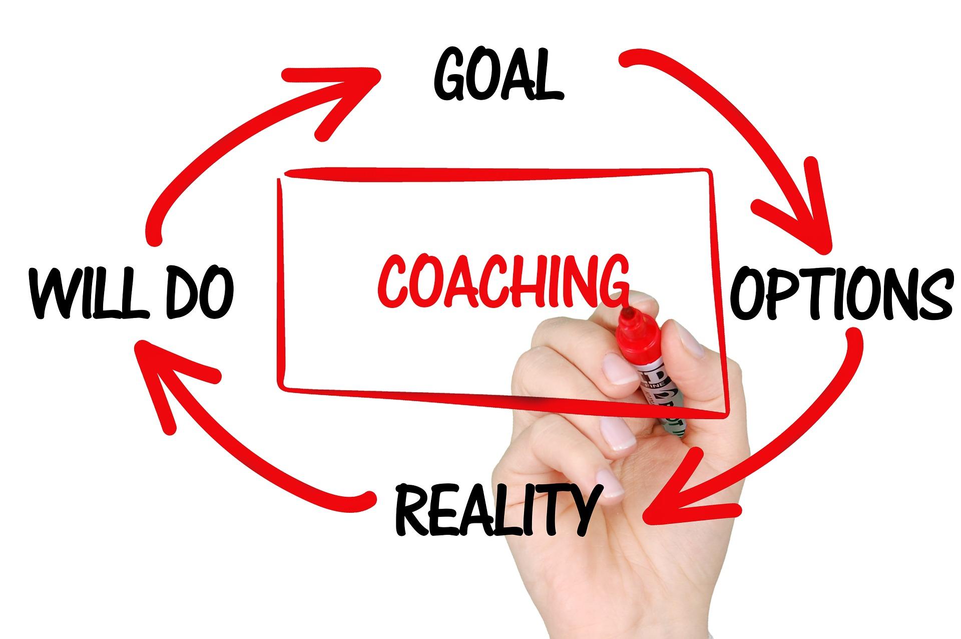 reality and options are reversed in this GROW model