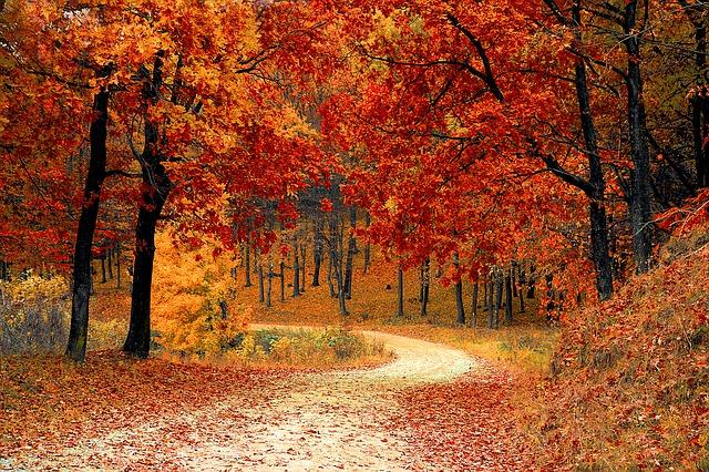 There are poems about nature, feelings and politics