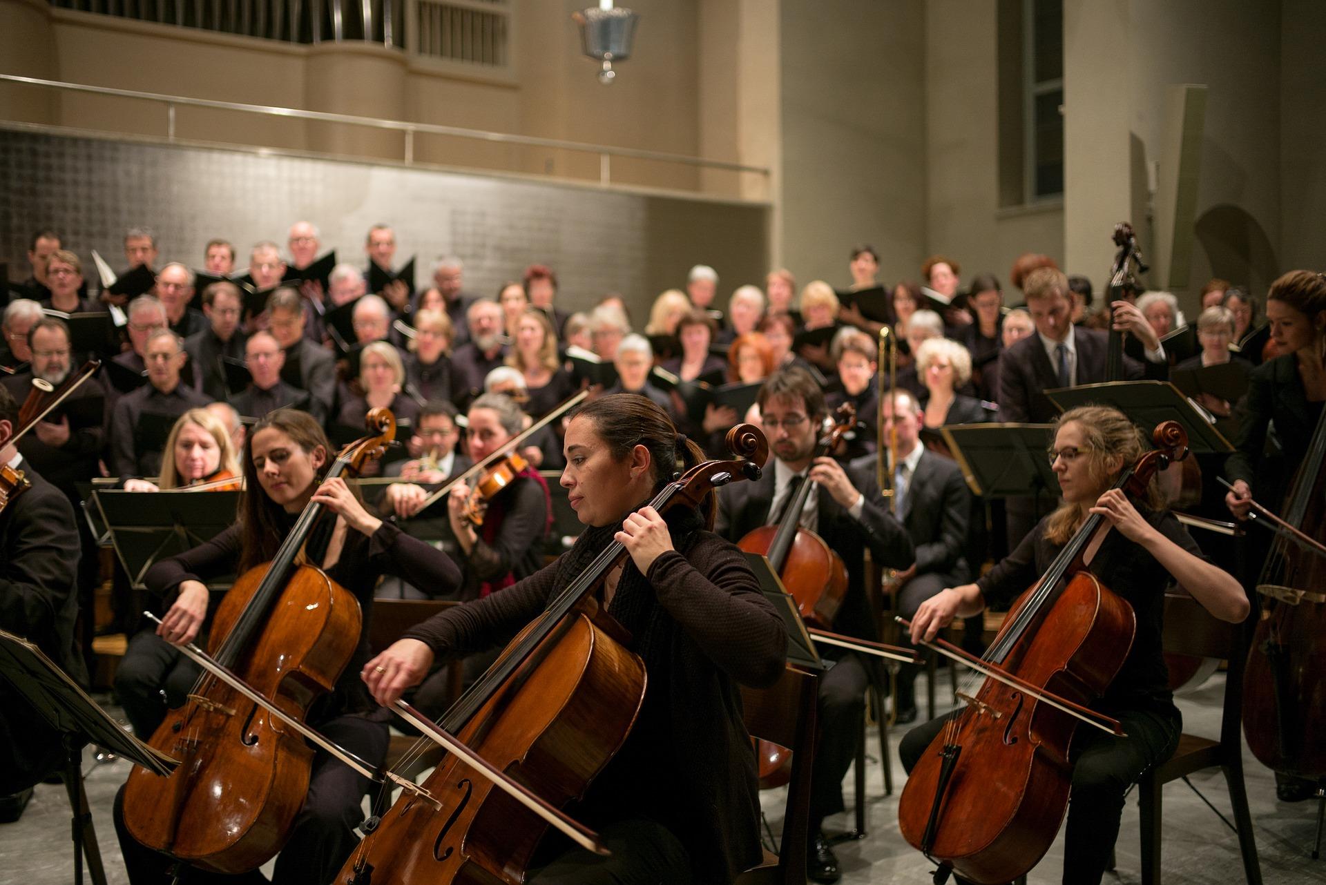 Which are the best places in Europe to study violin?