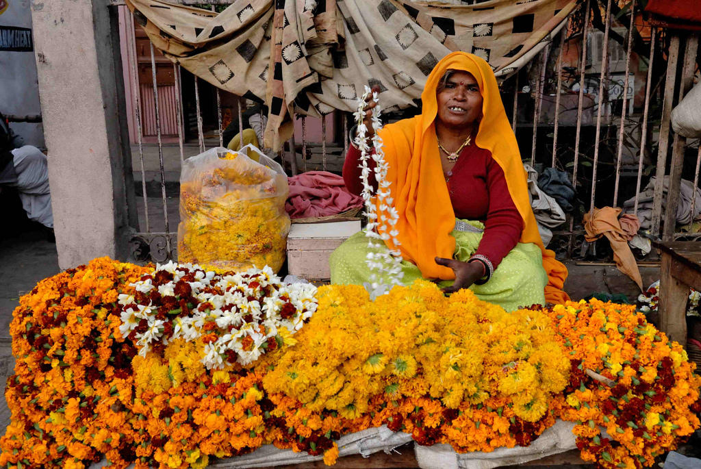 Go to India if you want to learn Hindi fast.
