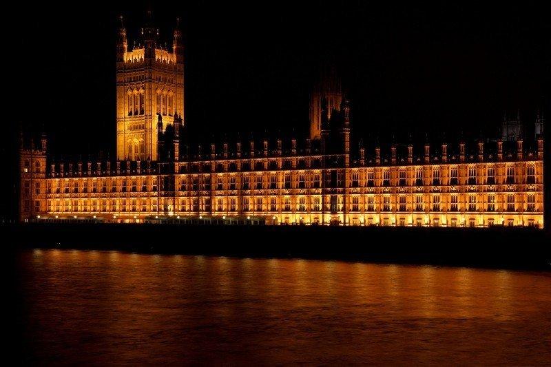 becoming a politician