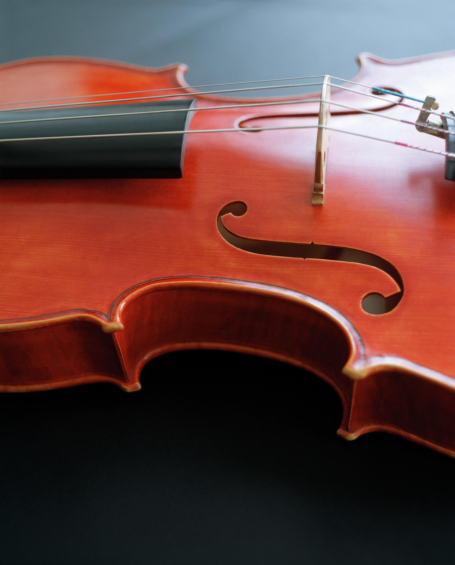 Who are the most famous African violinists?