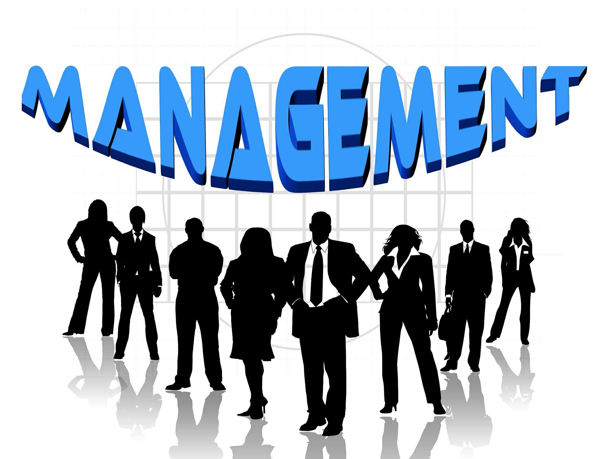 Management accounting helps managers assess risk