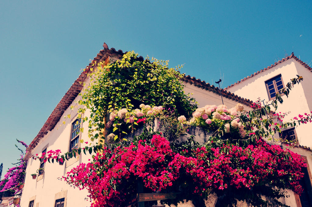 Portuguese idioms and Portuguese quotes