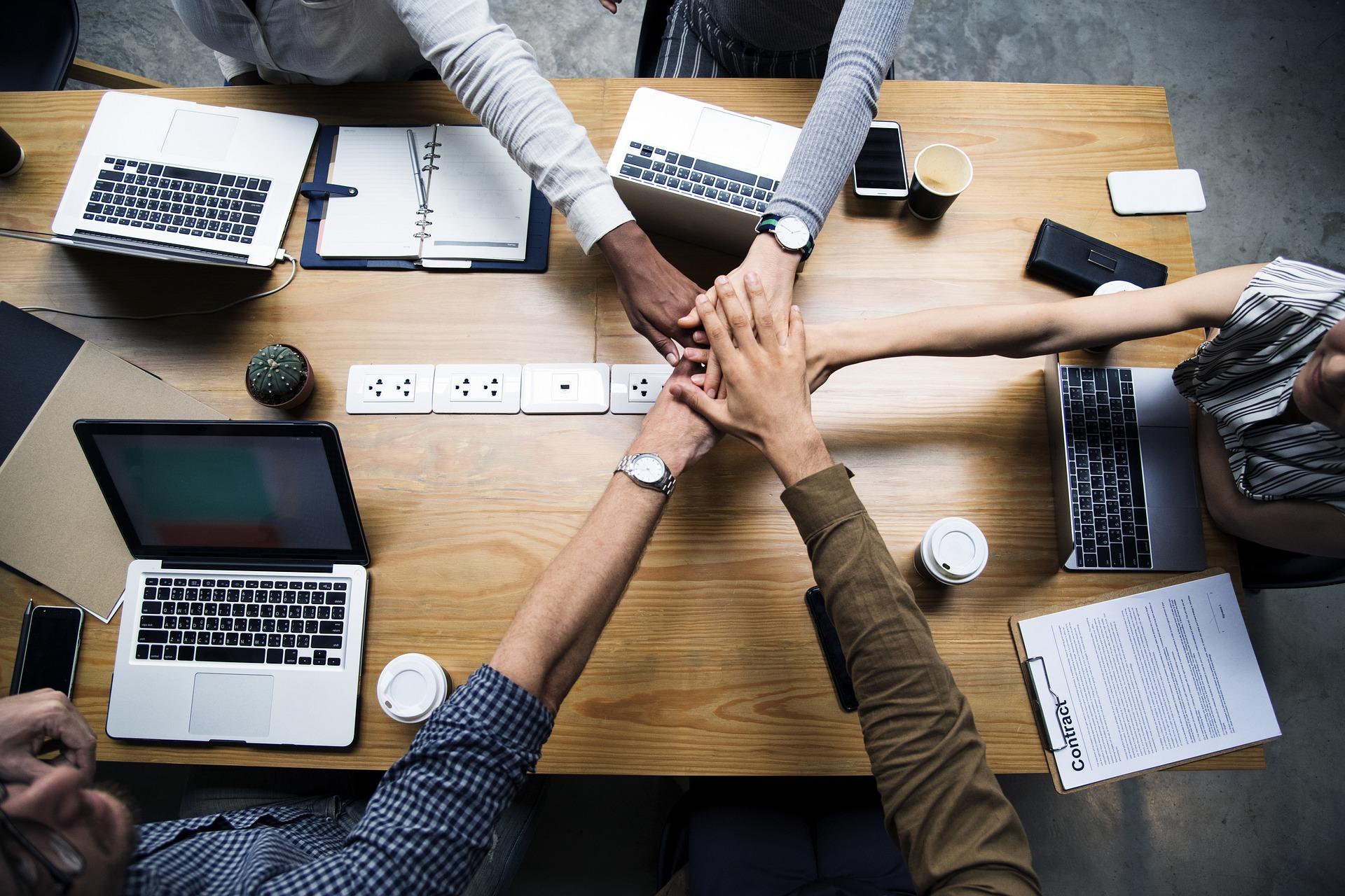 Where can you learn business Chinese?