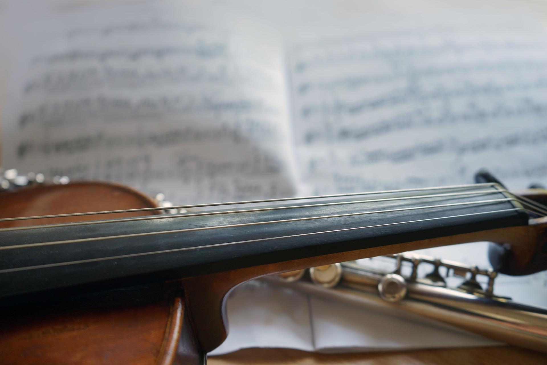 What stringed instruments are there in the Americas?