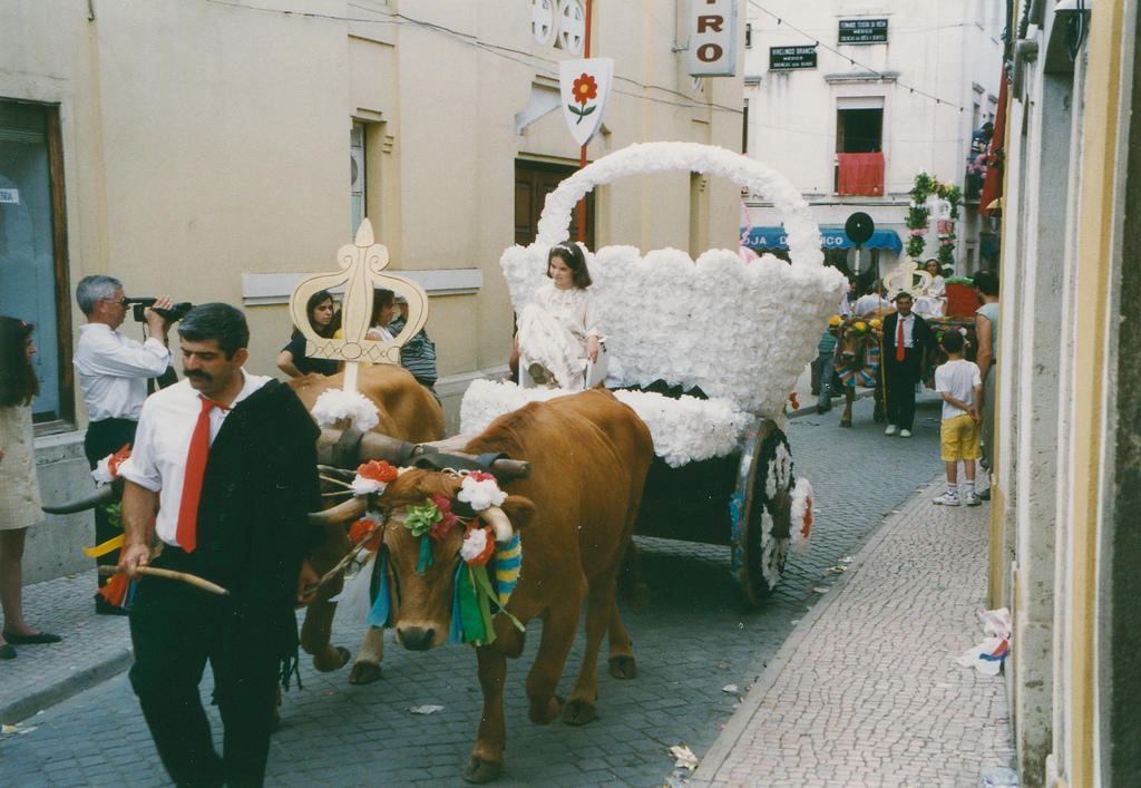 Don't forget about culture, as the culture in Portugal is likely very different from what you know.