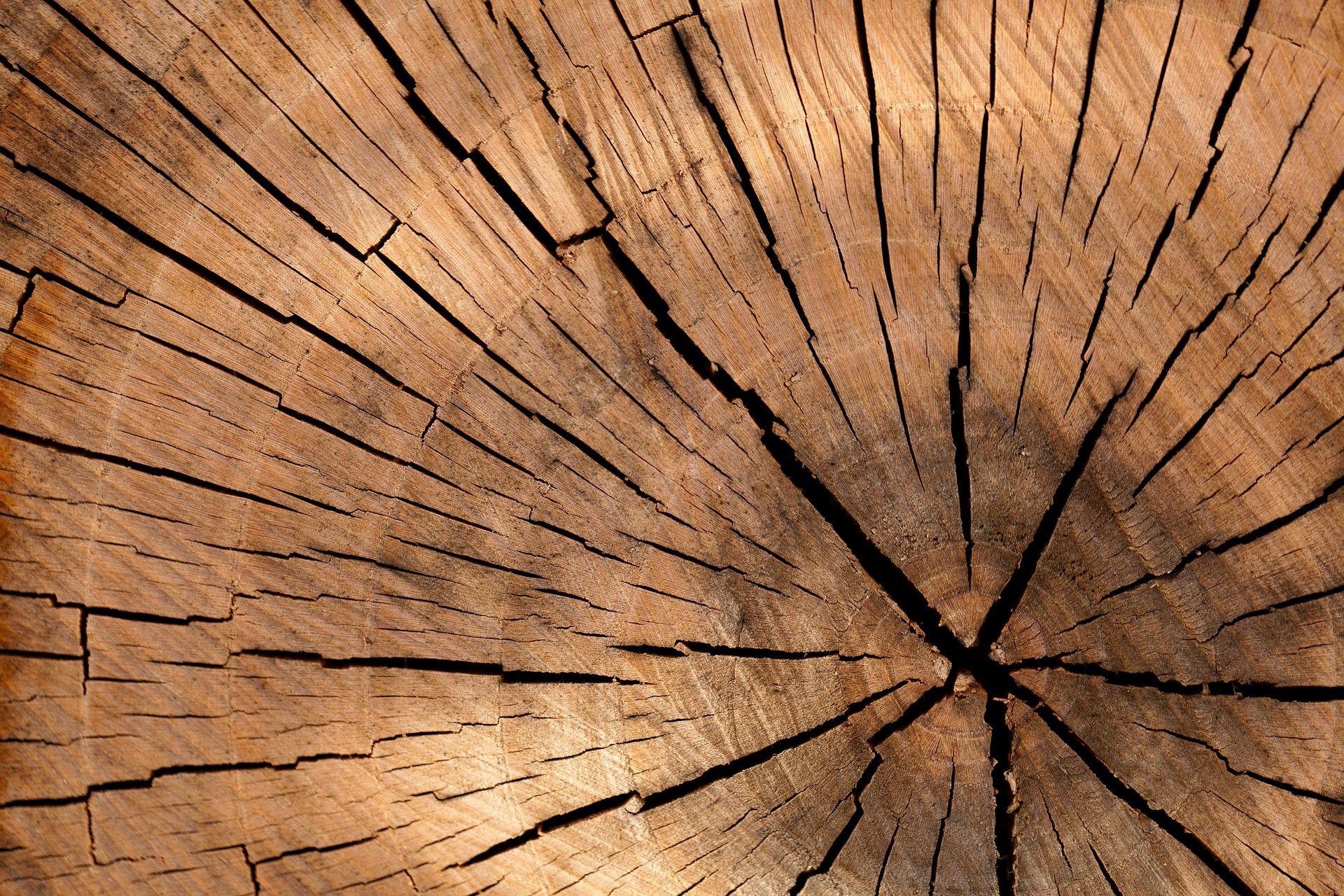 How do you care for violin wood?