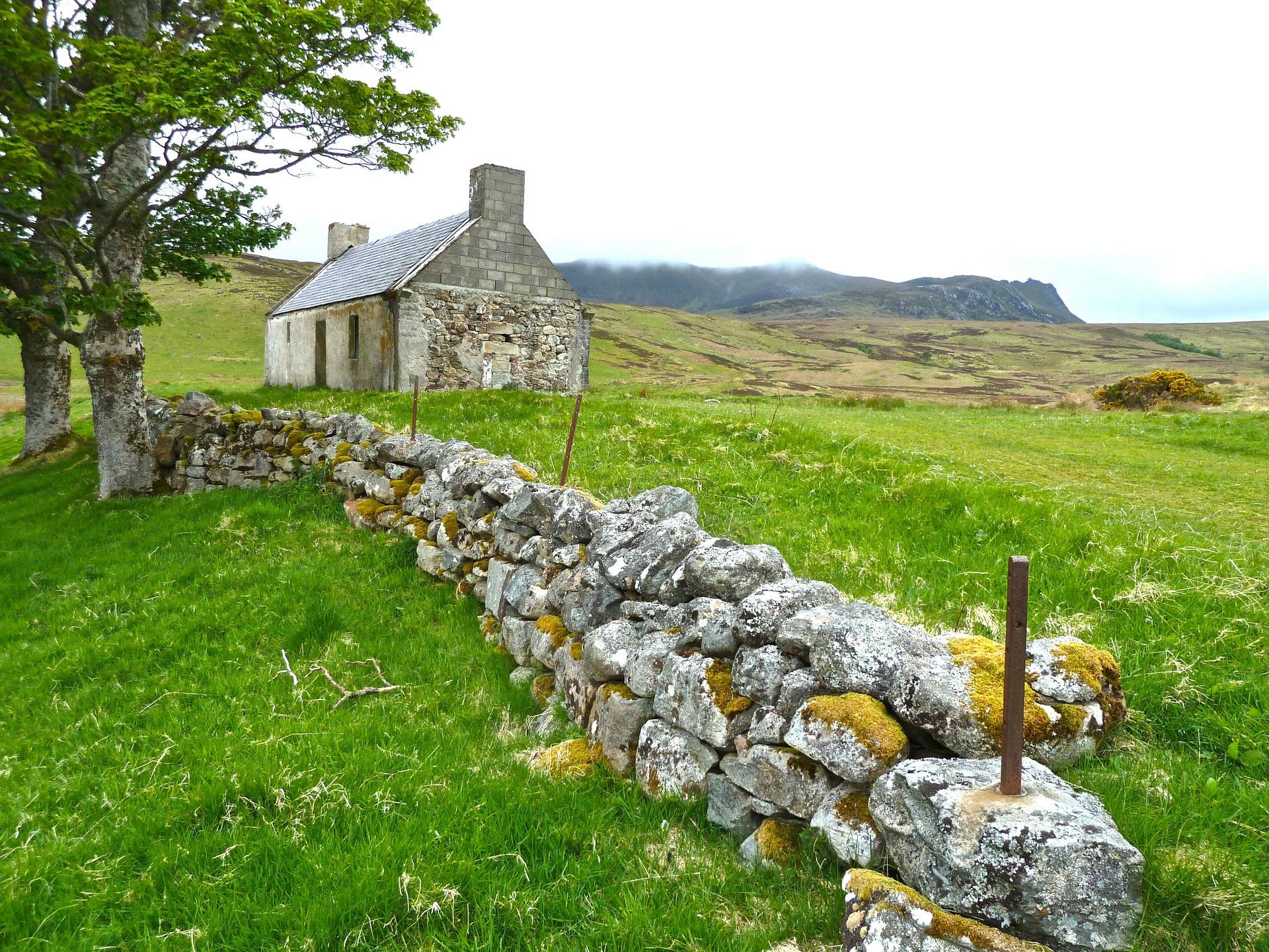 What are the official languages of Ireland?