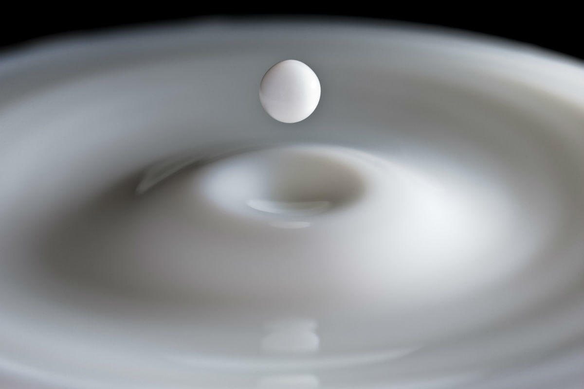 Is milk and dairy really necessary in our diet?