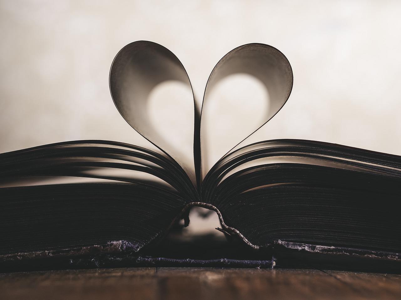 An open book with two pages folded inwards so that they look like a heart. Finding an effective learning style is very important when thinking about how to learn Portuguese grammar.
