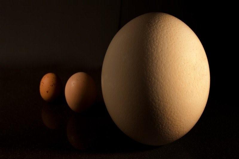 A Dutch ''ei'' (egg) in full glory