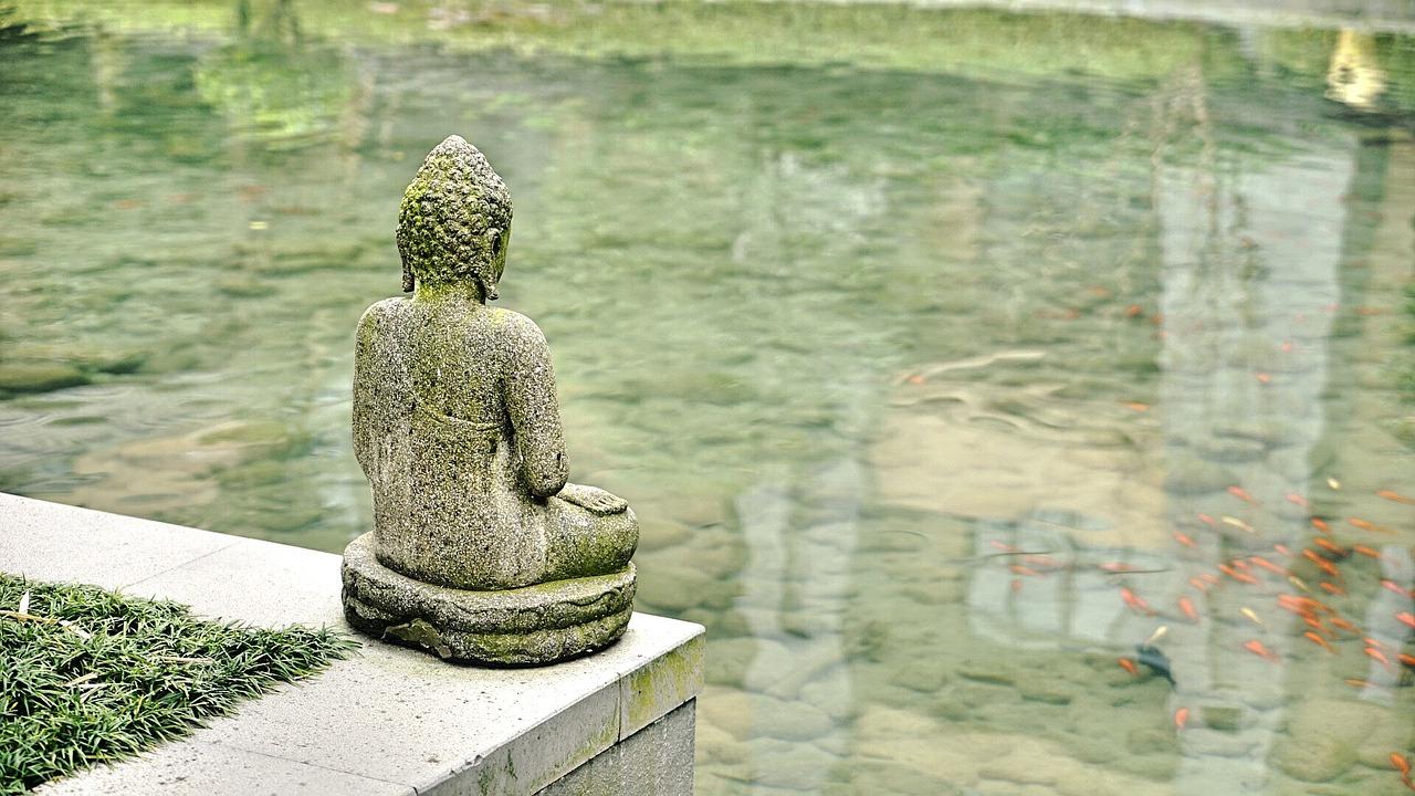 What are the advantages of Chinese MOOCs?