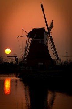 Structuring Dutch sentences