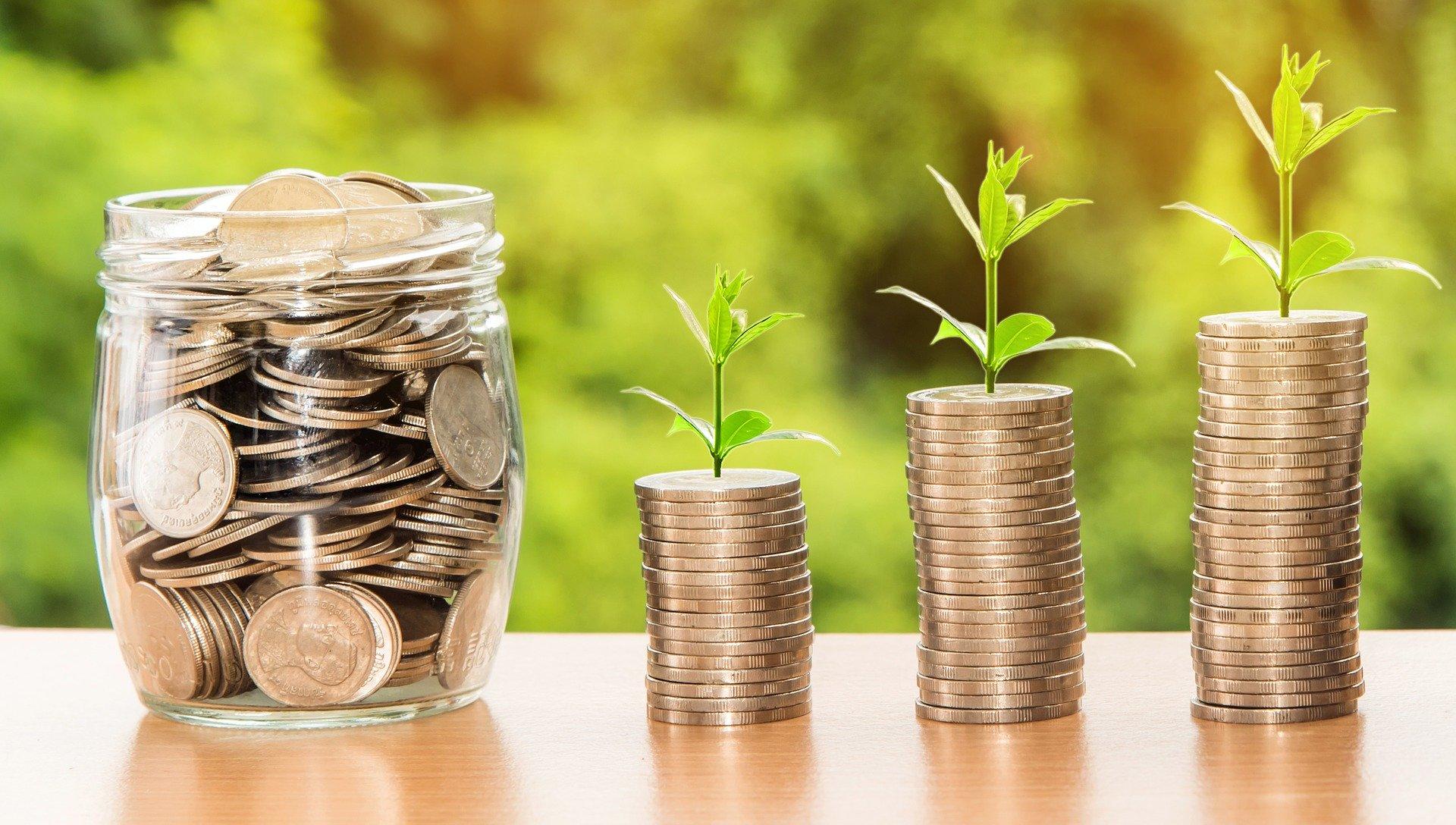 Growth potential means potential wealth