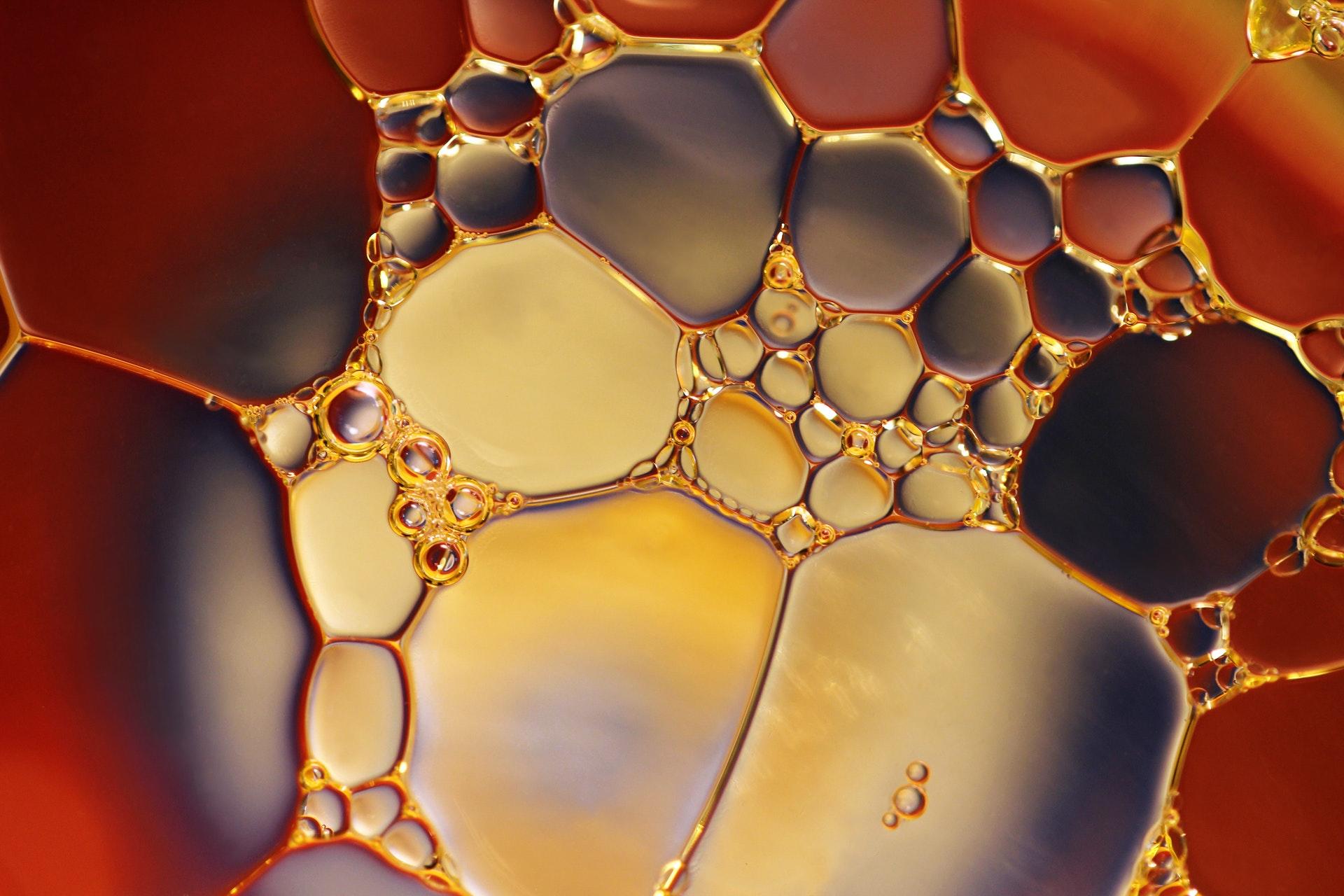 A bubble of soap under the microscope.
