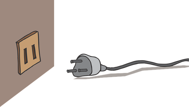 parts of a plug