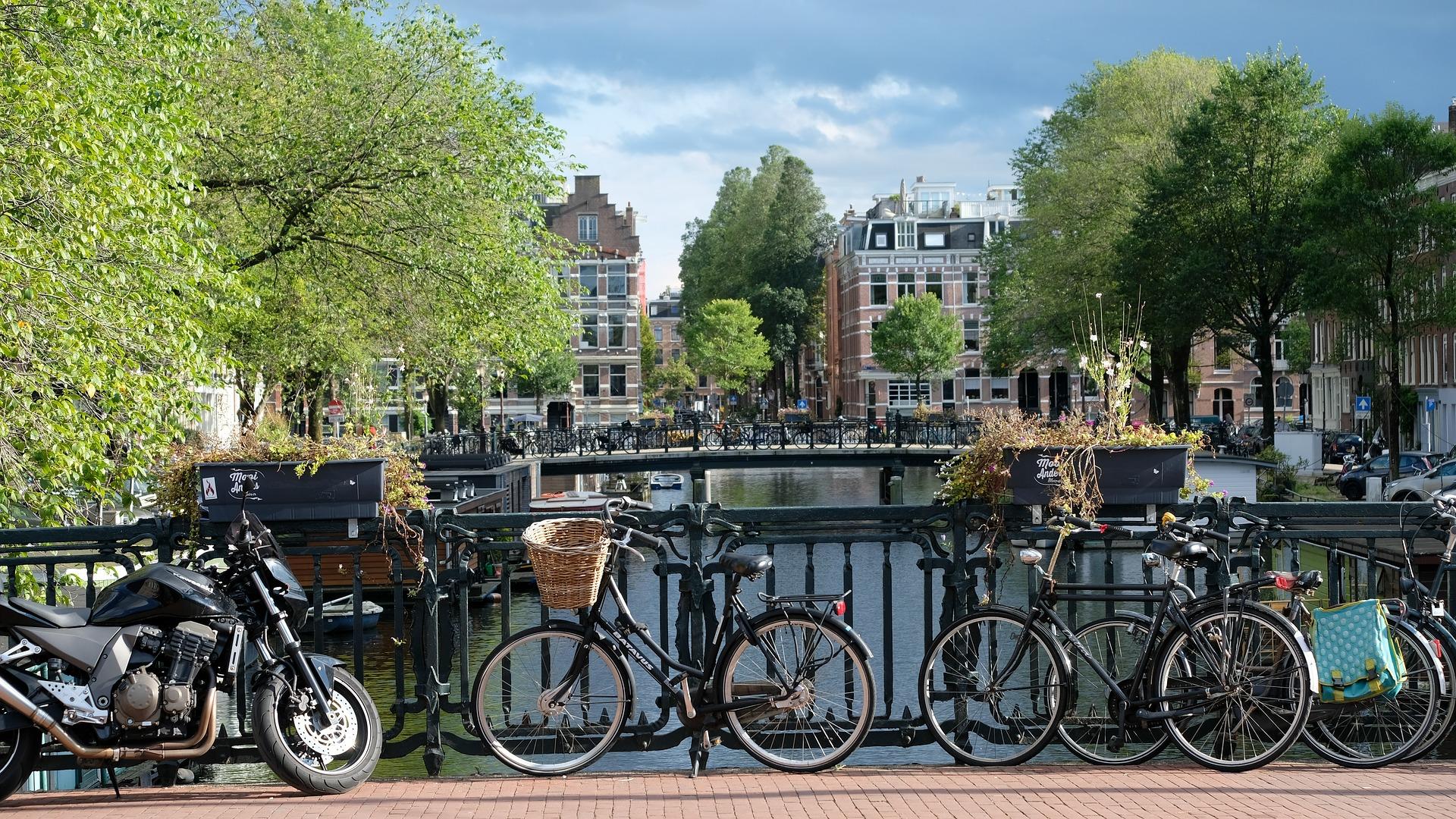 Prove your Dutch speaking ability through different exams