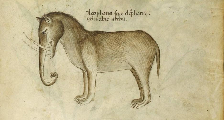 An elephant could be a diplomatic gift.