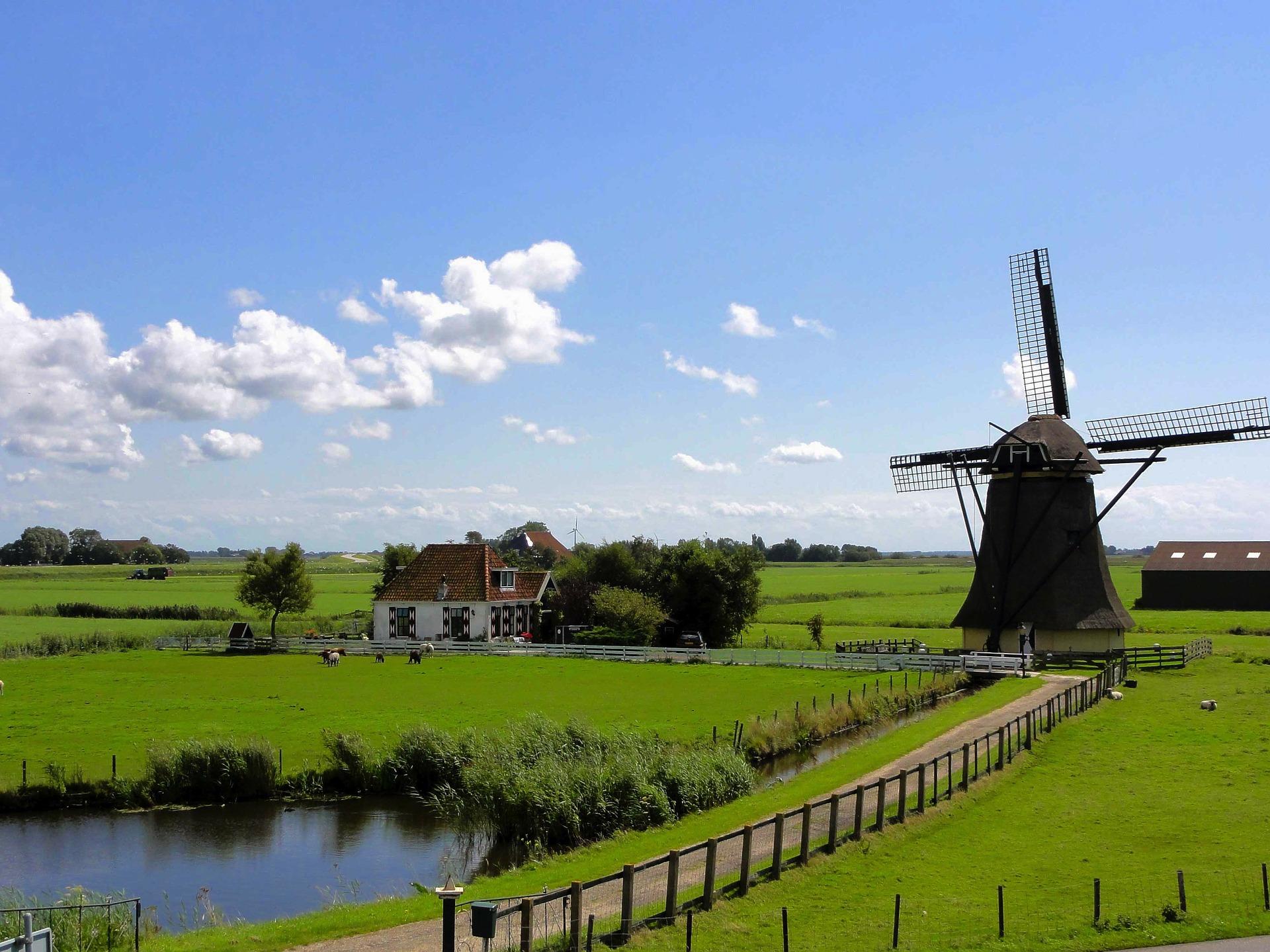 Have iconic windmills compelled you to learn Dutch?