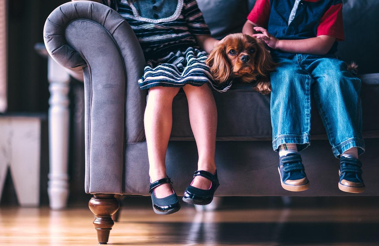 Children sit on a sofa with a dog