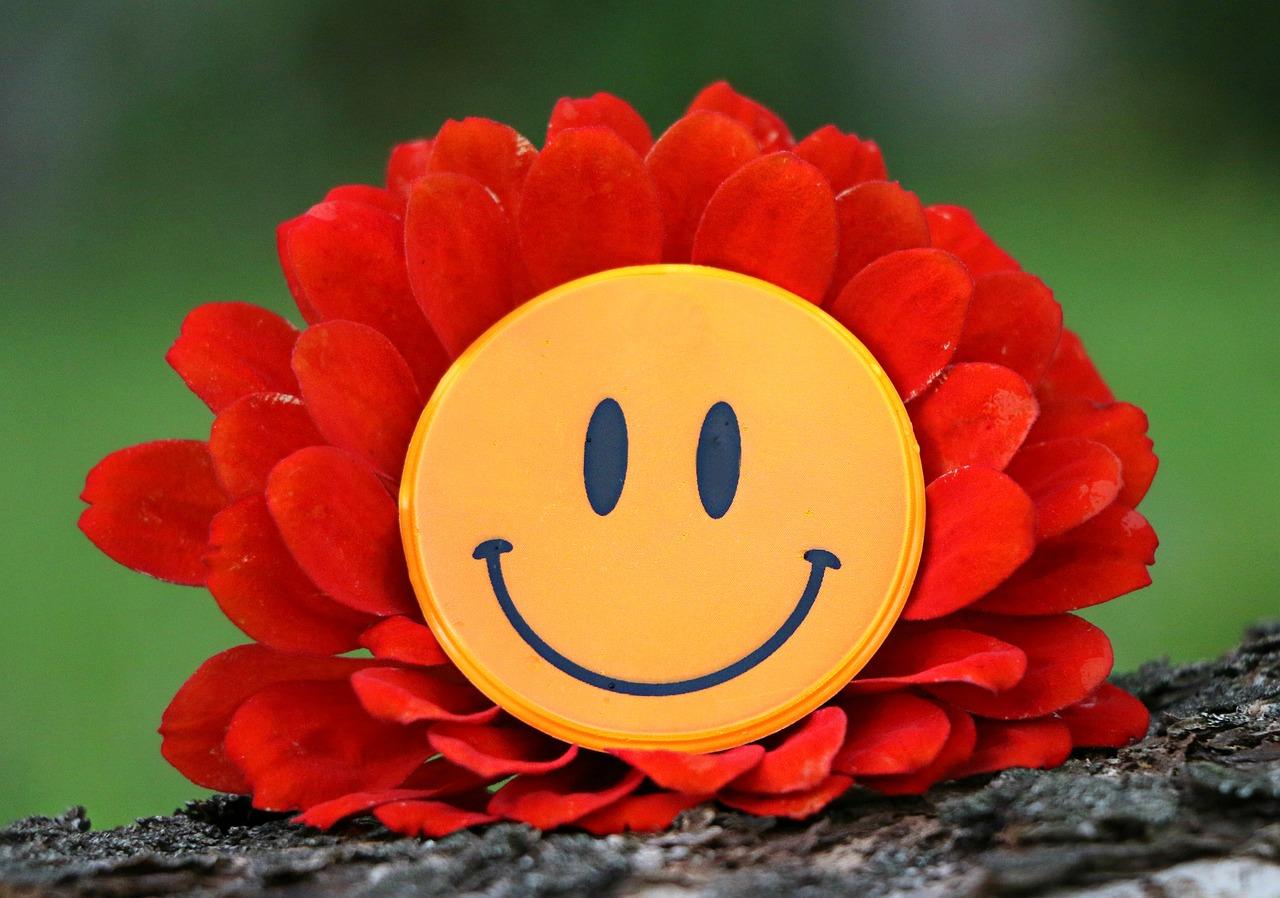 A picture of a red flower with a yellow and black smiley face emoji placed in the centre. If you want to learn how to act, you might also end up learning how to make use of improvisation.