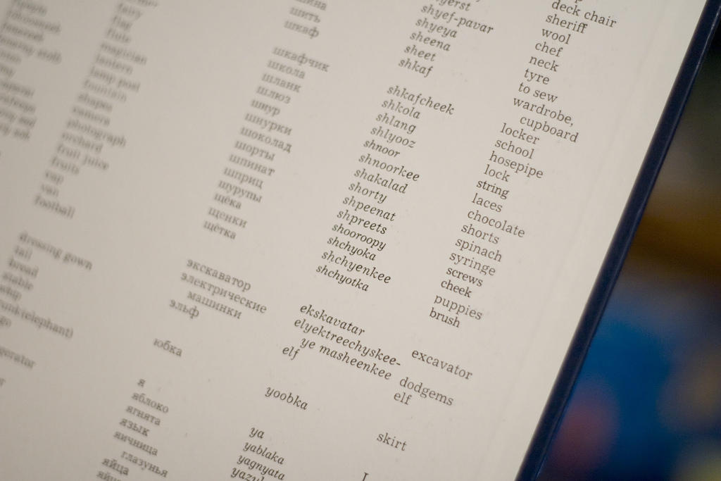 Learn Russian vocabulary with Russian lessons.
