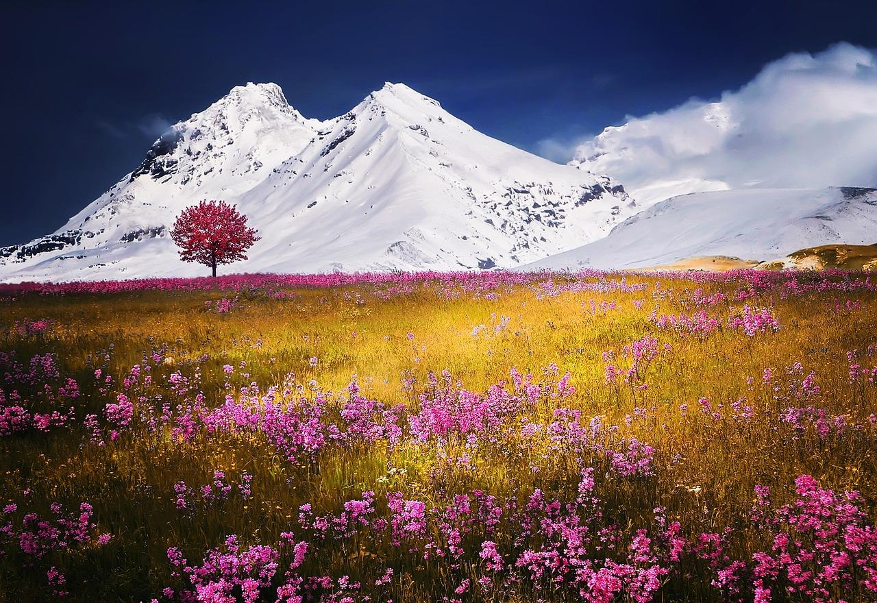 Mountains and seas are dynamic earth features