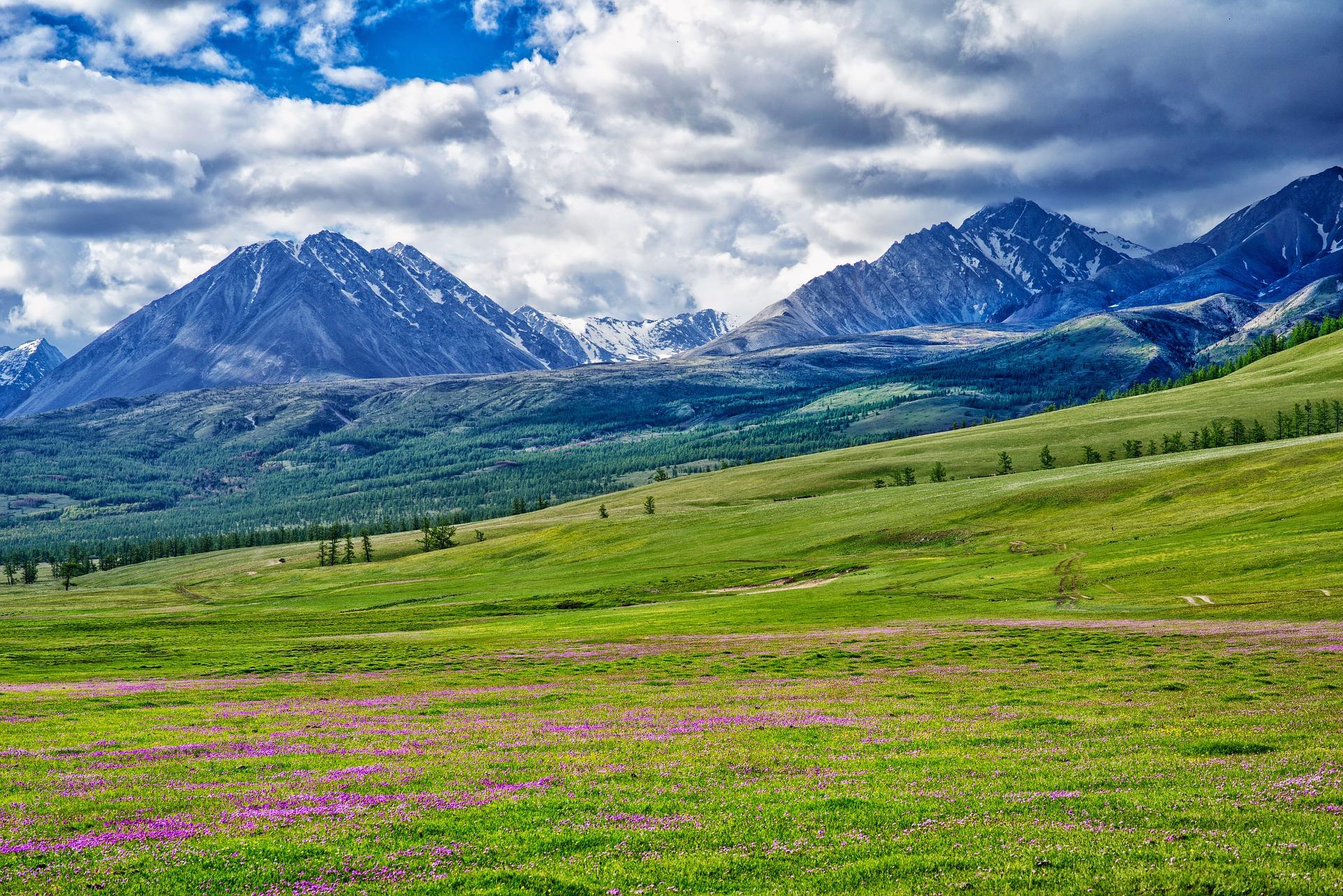 Which language schools teach Russian?
