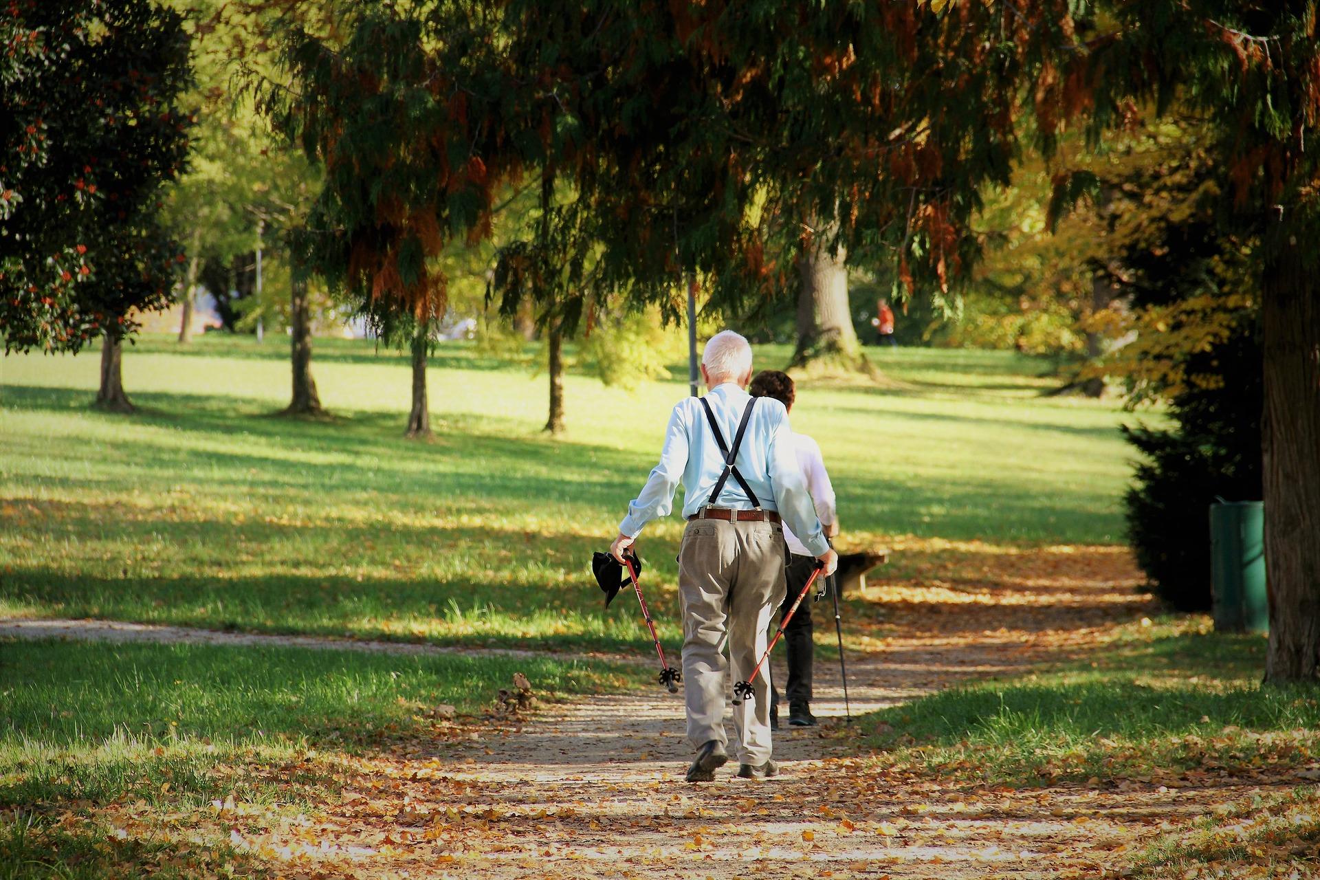 What sports can senior citizens do?