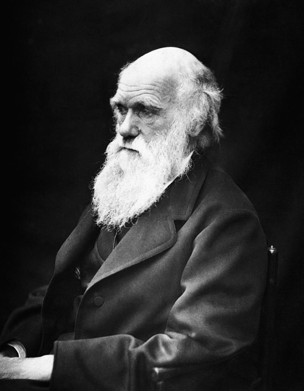 A portrait of Darwin, the biologist.