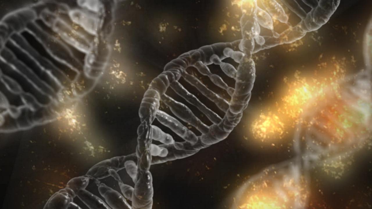 Representation of a DNA double helix