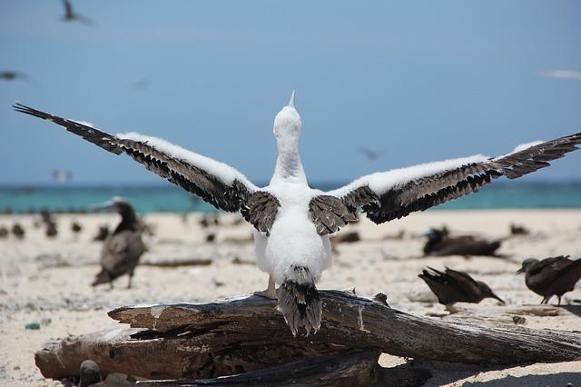 What does a wildlife biologist do?