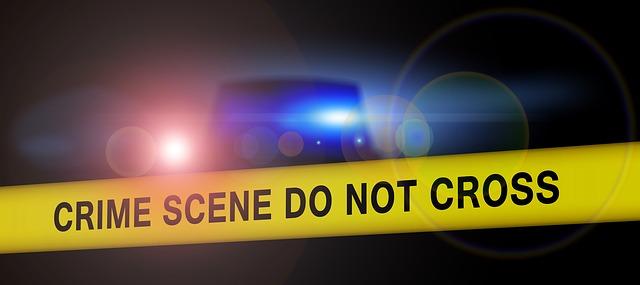 the best crime scene investigators