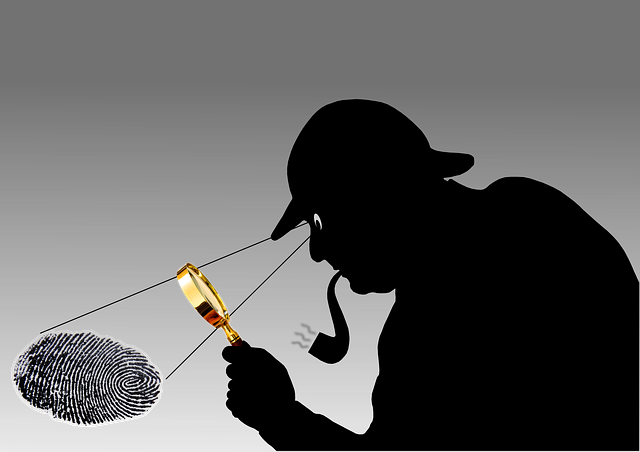 the best detectives