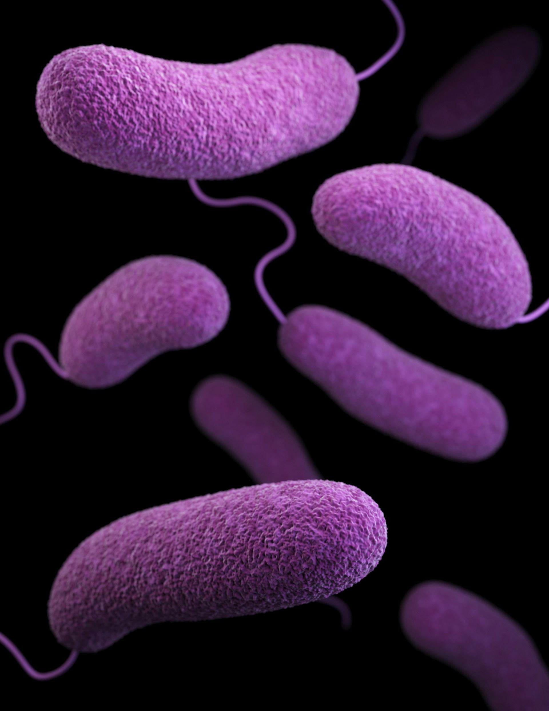 Purple shapes with thin tails float against a black background.
