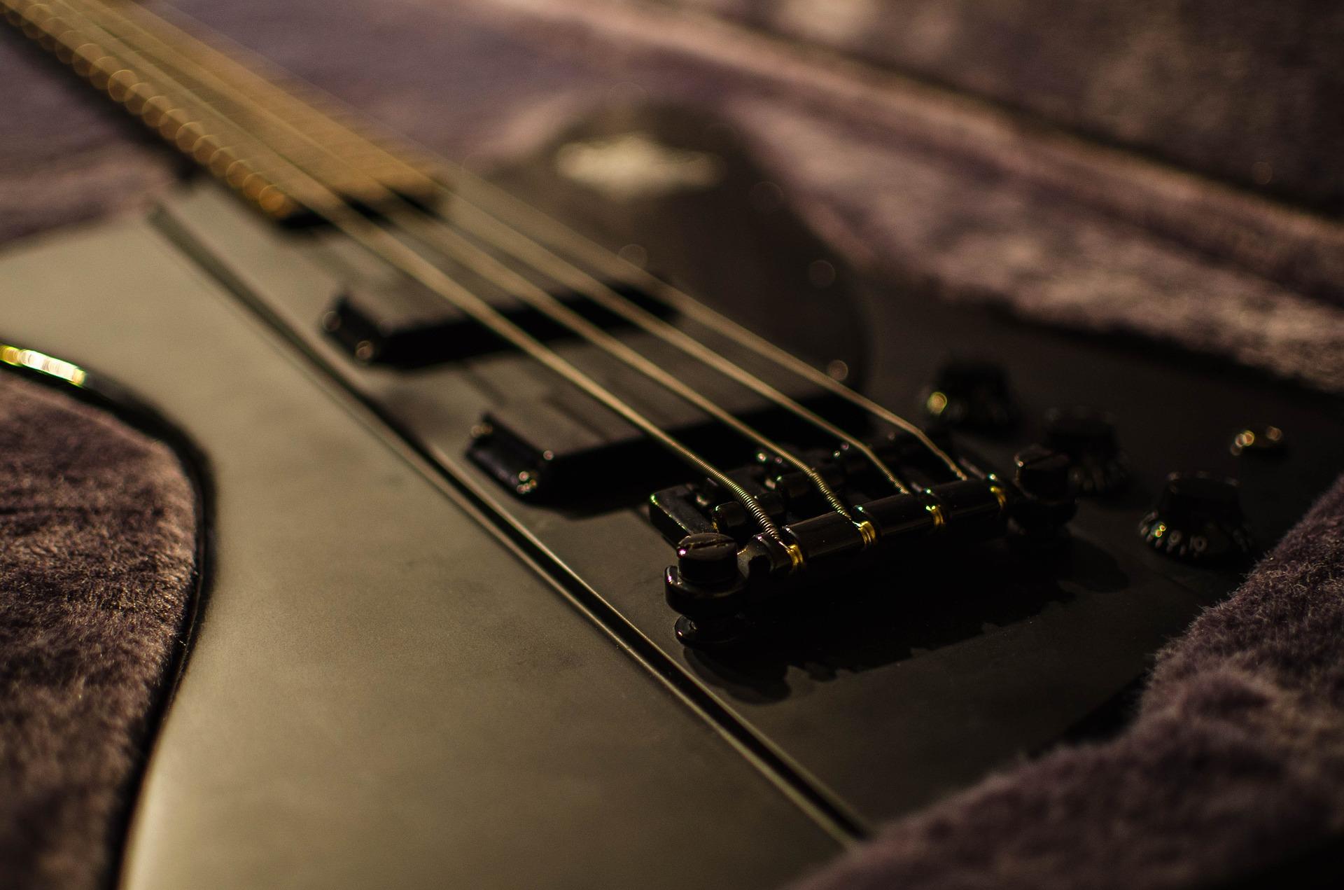 Which are the best bass guitar brands?