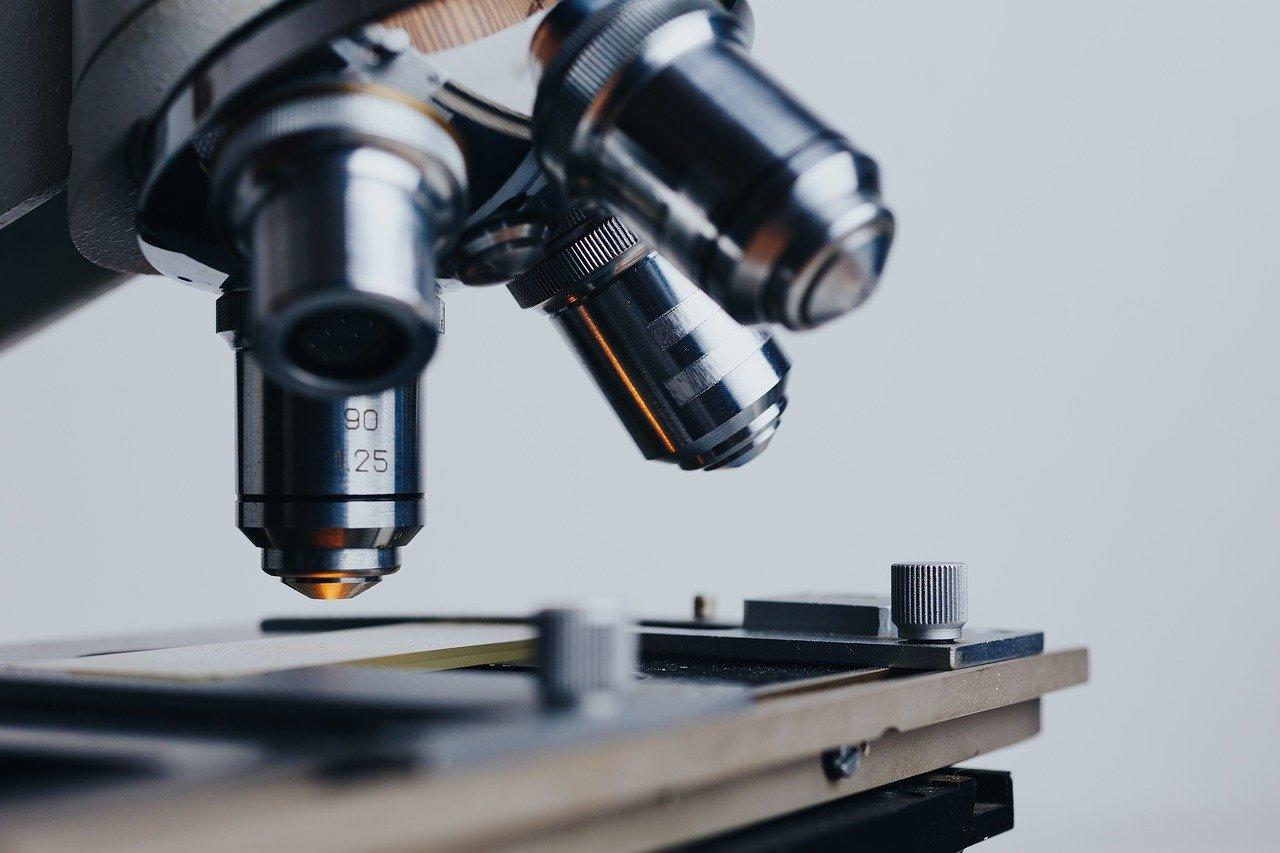 We can thank Mr van Leeuwenhoek for today's microscopes