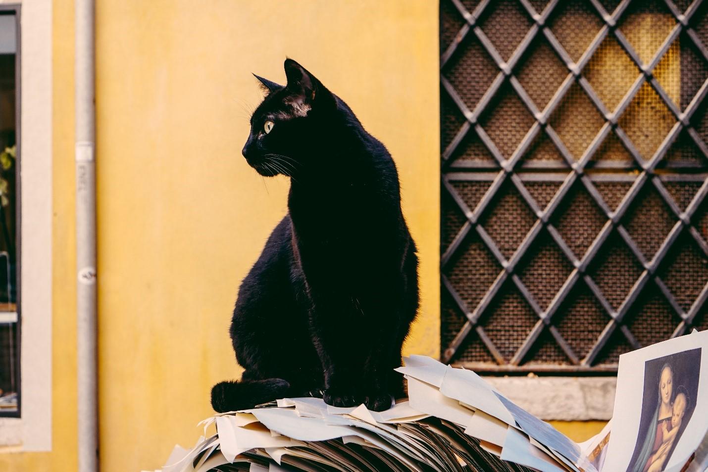 Language lessons can change your life